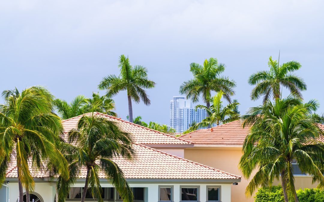 Looking Into The 2023 South Florida Residential Housing Market