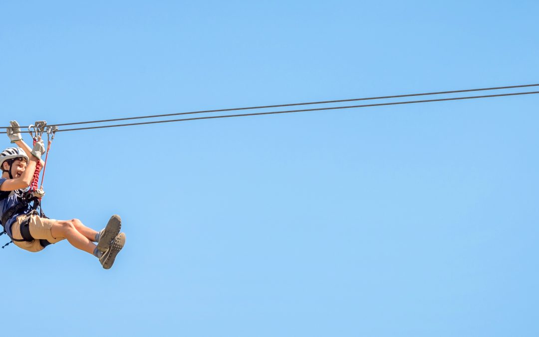 Treetop Trekking Miami Opens At Jungle Island